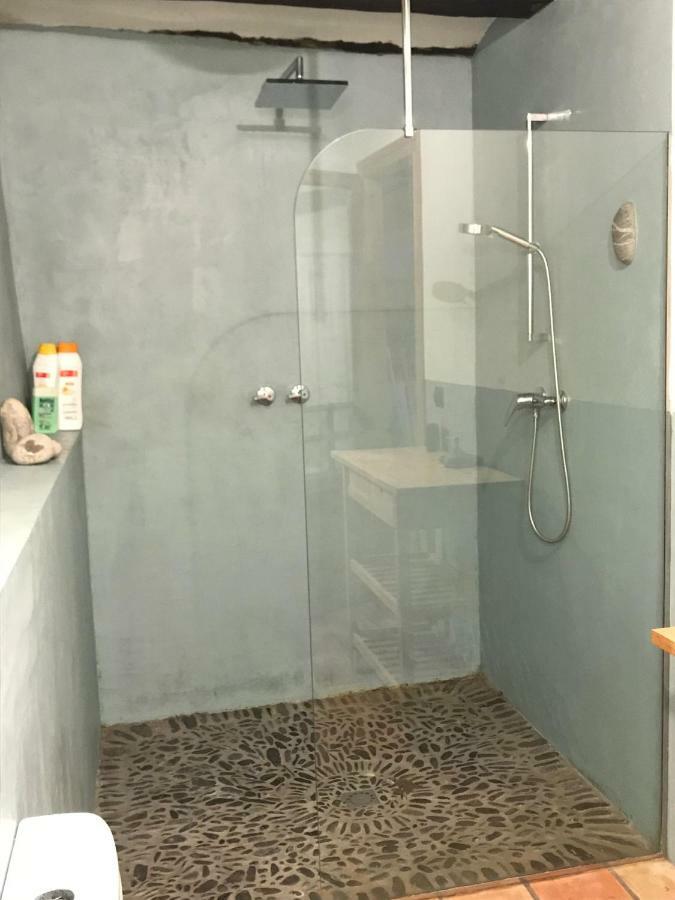 Casa Mingot Sxvi Anciles Benasque Apartment Bagian luar foto