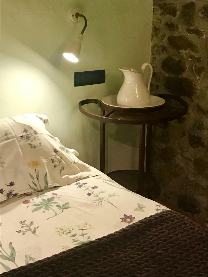 Casa Mingot Sxvi Anciles Benasque Apartment Bagian luar foto