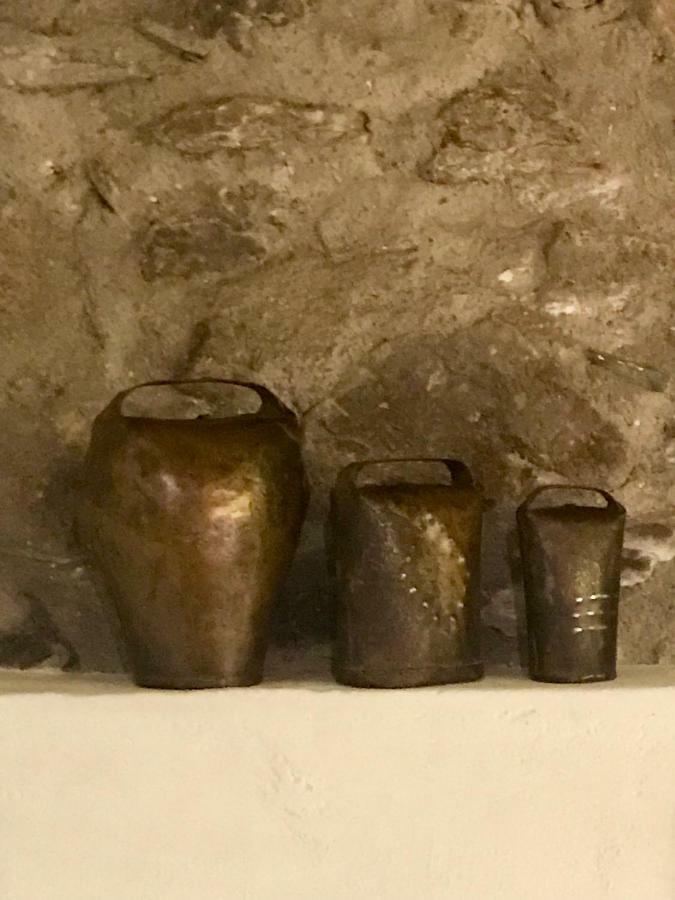 Casa Mingot Sxvi Anciles Benasque Apartment Bagian luar foto